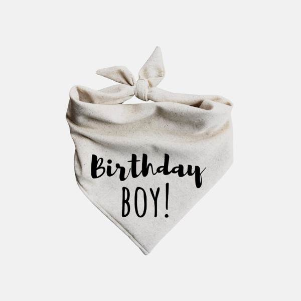 dog themed birthday party for boy