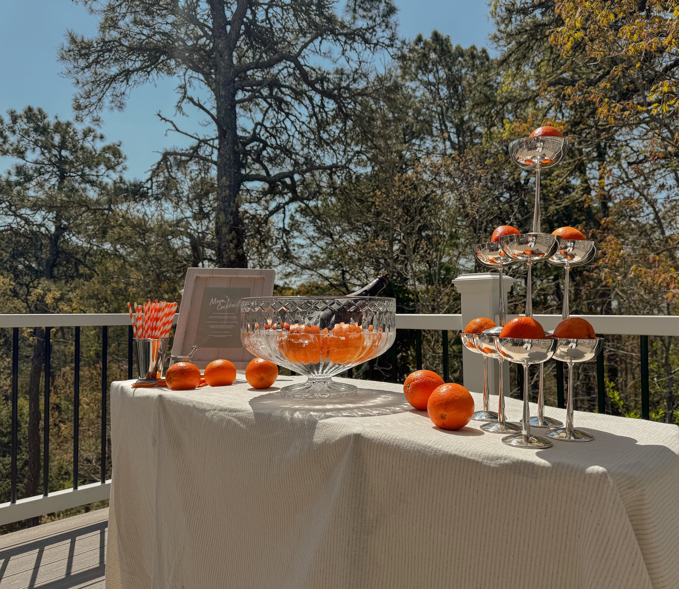 outdoor birthday party for mom