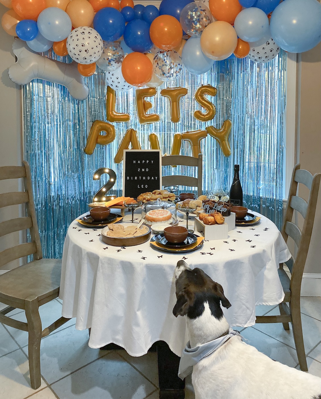 dog party decorations