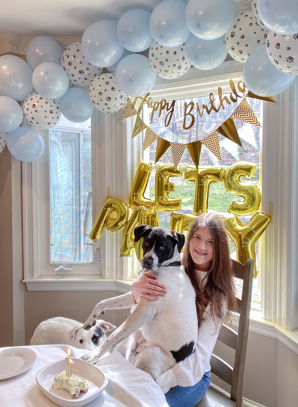 dog party ideas diy