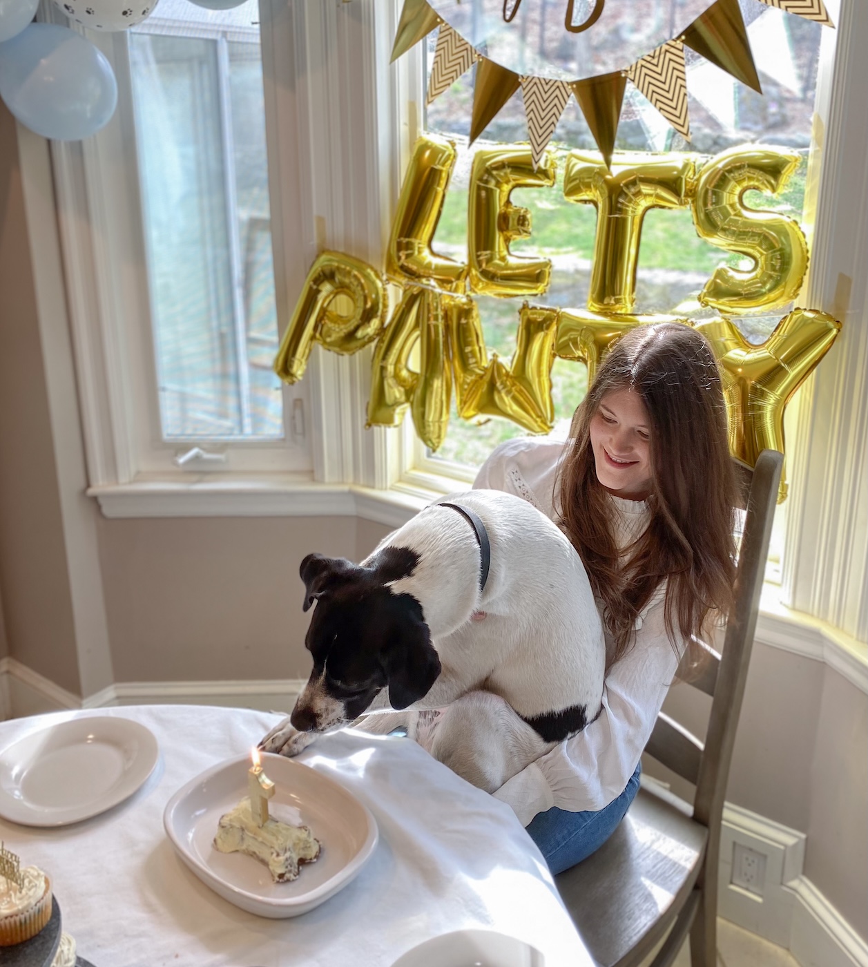 dog party ideas food
