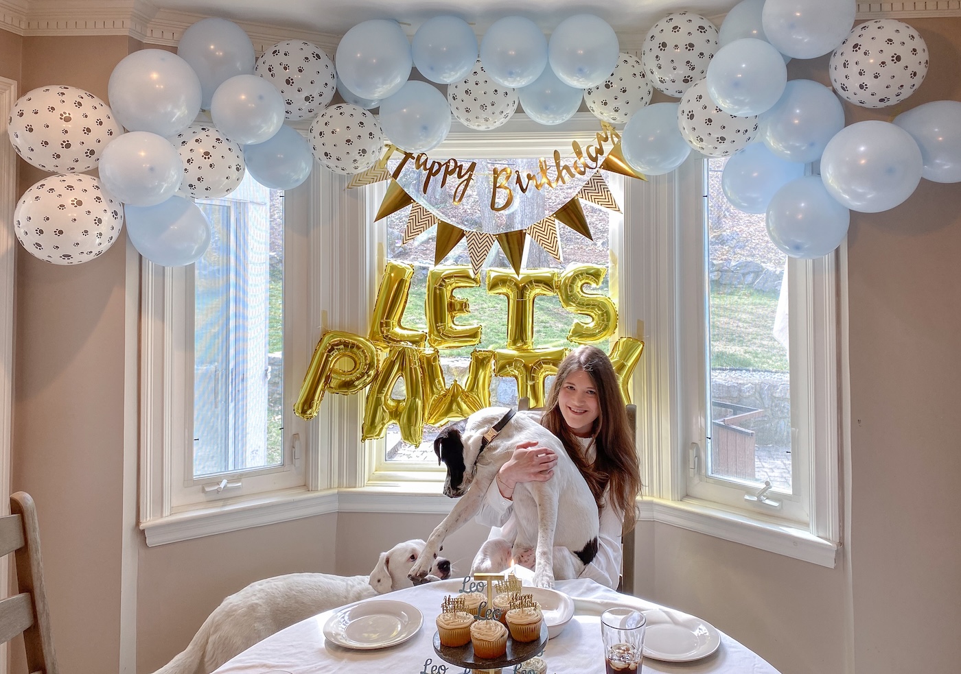 dog party ideas theme