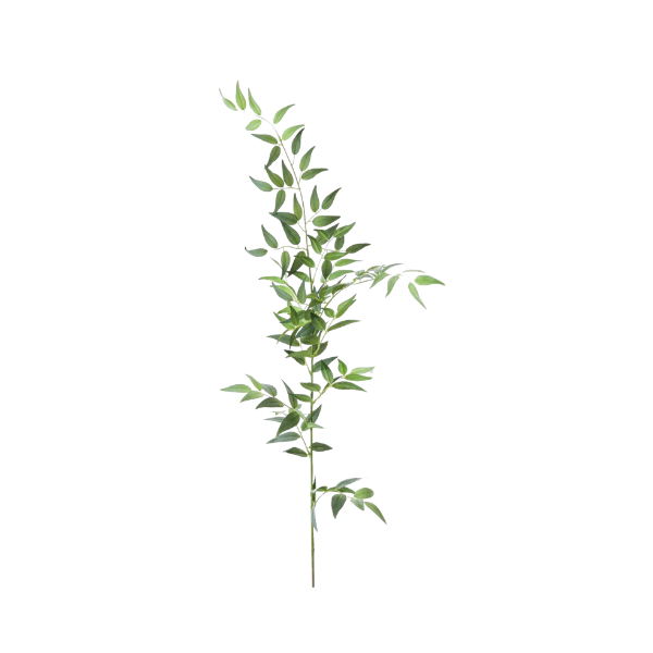 summer party decorations table