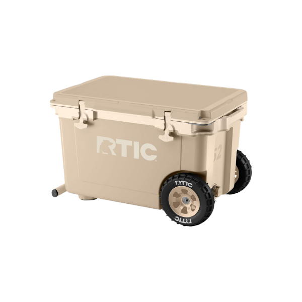 summer picnic images