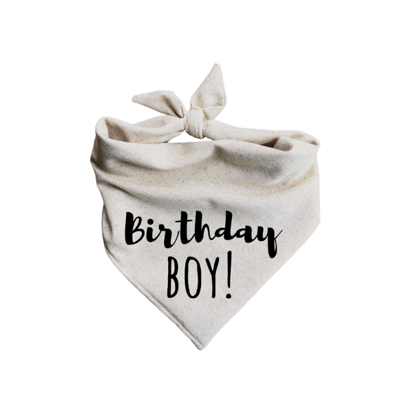 dog birthday decoration girl